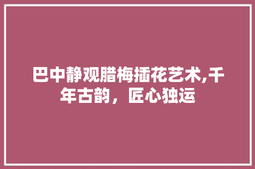 巴中静观腊梅插花艺术,千年古韵，匠心独运