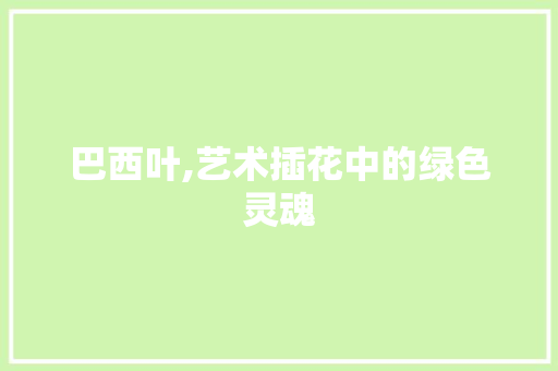 巴西叶,艺术插花中的绿色灵魂
