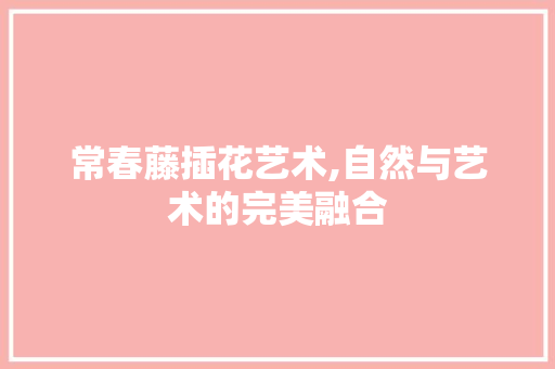 常春藤插花艺术,自然与艺术的完美融合