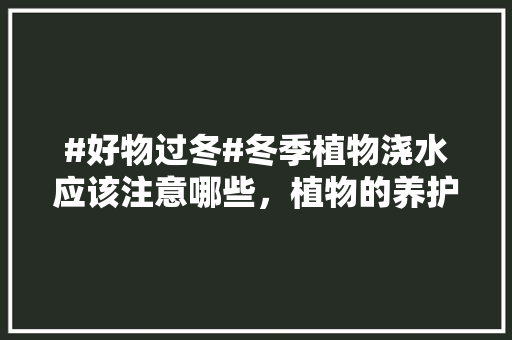 #好物过冬#冬季植物浇水应该注意哪些，植物的养护技巧小视频教程。  第1张 #好物过冬#冬季植物浇水应该注意哪些，植物的养护技巧小视频教程。 观叶植物