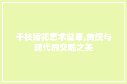 干枝插花艺术盆景,传统与现代的交融之美