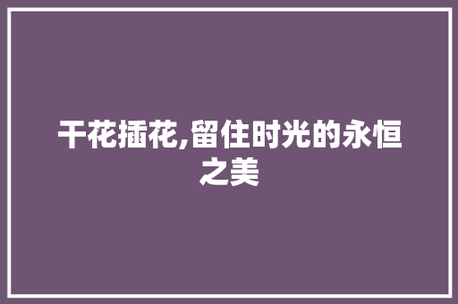 干花插花,留住时光的永恒之美