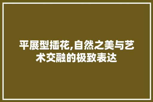 平展型插花,自然之美与艺术交融的极致表达