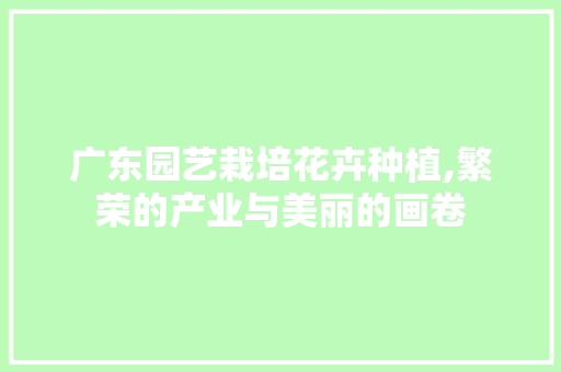 广东园艺栽培花卉种植,繁荣的产业与美丽的画卷