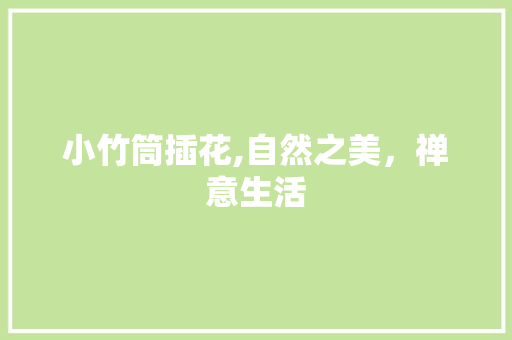 小竹筒插花,自然之美，禅意生活