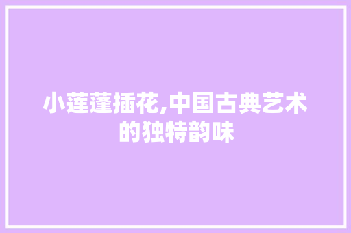 小莲蓬插花,中国古典艺术的独特韵味