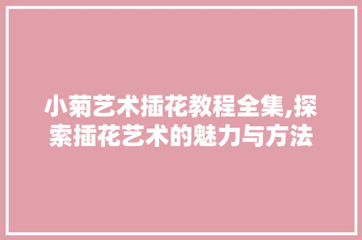 小菊艺术插花教程全集,探索插花艺术的魅力与方法
