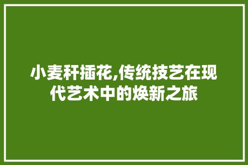 小麦秆插花,传统技艺在现代艺术中的焕新之旅