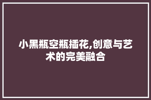 小黑瓶空瓶插花,创意与艺术的完美融合