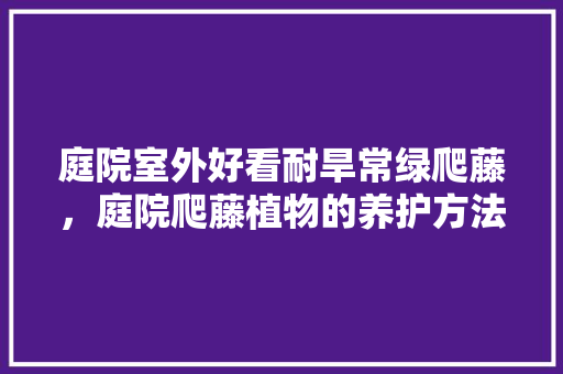 庭院室外好看耐旱常绿爬藤，庭院爬藤植物的养护方法有哪些。