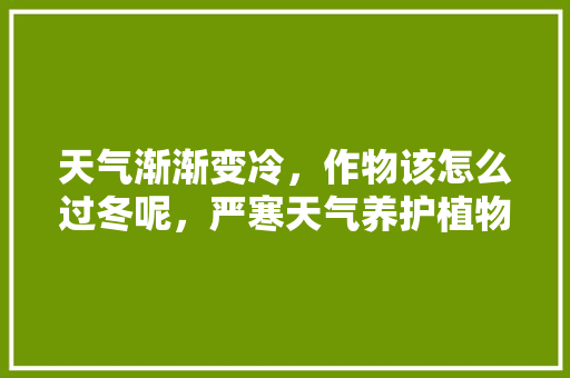 天气渐渐变冷，作物该怎么过冬呢，严寒天气养护植物的措施有哪些。