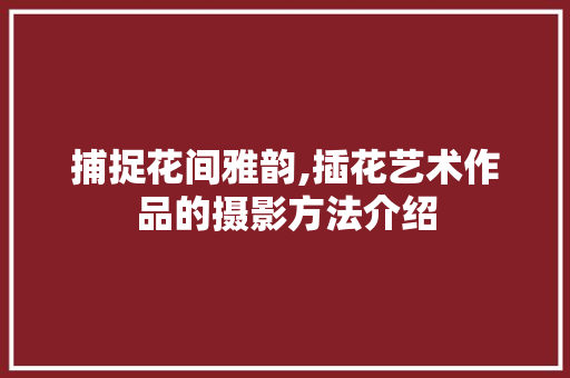 捕捉花间雅韵,插花艺术作品的摄影方法介绍 灌溉技术