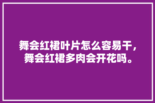 舞会红裙叶片怎么容易干，舞会红裙多肉会开花吗。  第1张 舞会红裙叶片怎么容易干，舞会红裙多肉会开花吗。 土壤选择