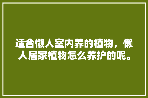 适合懒人室内养的植物，懒人居家植物怎么养护的呢。  第1张 适合懒人室内养的植物，懒人居家植物怎么养护的呢。 观叶植物