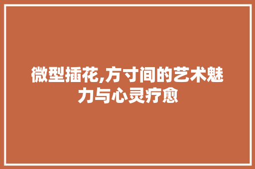 微型插花,方寸间的艺术魅力与心灵疗愈