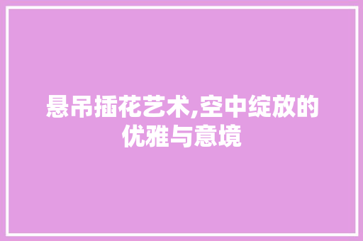 悬吊插花艺术,空中绽放的优雅与意境