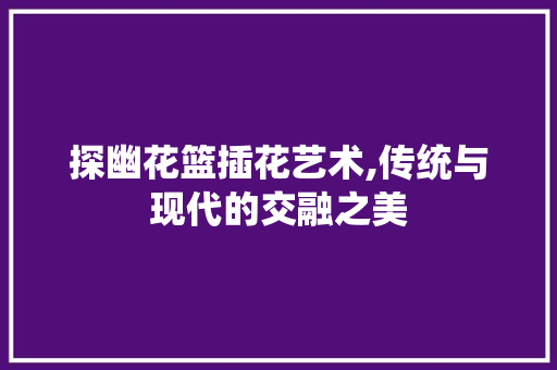 探幽花篮插花艺术,传统与现代的交融之美 树木