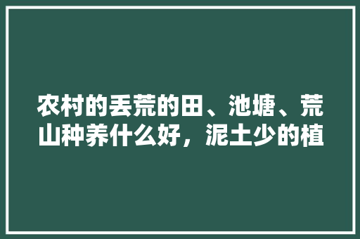 农村的丢荒的田、池塘、荒山种养什么好，泥土少的植物怎么养护好呢。
