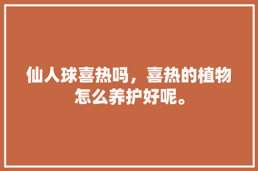 仙人球喜热吗，喜热的植物怎么养护好呢。