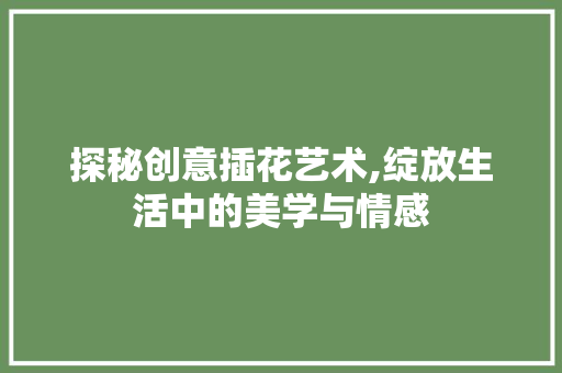 探秘创意插花艺术,绽放生活中的美学与情感