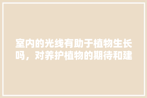 室内的光线有助于植物生长吗，对养护植物的期待和建议怎么写。  第1张 室内的光线有助于植物生长吗，对养护植物的期待和建议怎么写。 植物养护