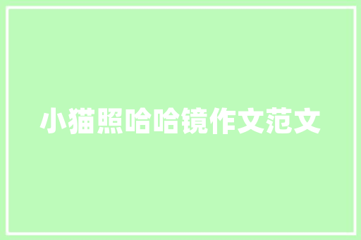 探秘插花艺术,风格详解与审美感悟