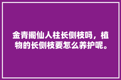 金青阁仙人柱长侧枝吗，植物的长侧枝要怎么养护呢。