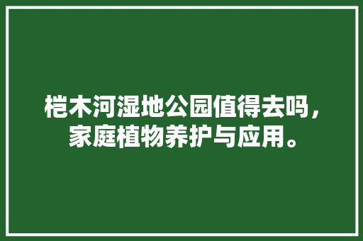 桤木河湿地公园值得去吗，家庭植物养护与应用。