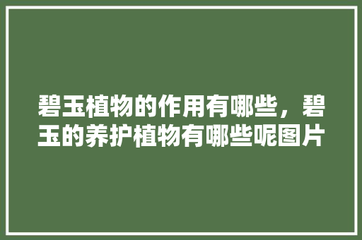 碧玉植物的作用有哪些，碧玉的养护植物有哪些呢图片。