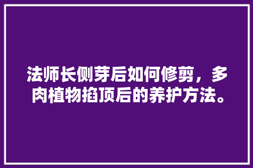 法师长侧芽后如何修剪，多肉植物掐顶后的养护方法。