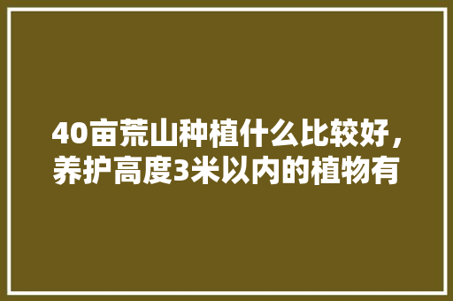 40亩荒山种植什么比较好，养护高度3米以内的植物有哪些。  第1张 40亩荒山种植什么比较好，养护高度3米以内的植物有哪些。 树木