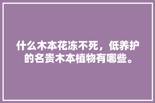 什么木本花冻不死，低养护的名贵木本植物有哪些。