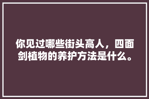 你见过哪些街头高人，四面剑植物的养护方法是什么。