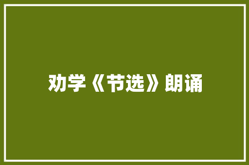 插花艺术,绽放生活的美学与智慧
