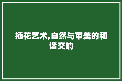 插花艺术,自然与审美的和谐交响