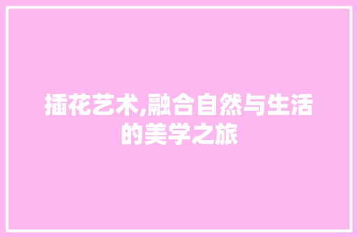 插花艺术,融合自然与生活的美学之旅
