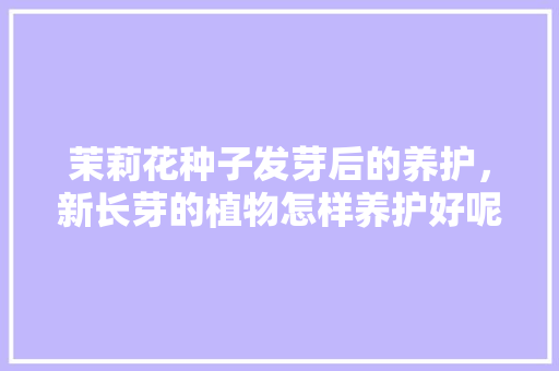 茉莉花种子发芽后的养护，新长芽的植物怎样养护好呢。