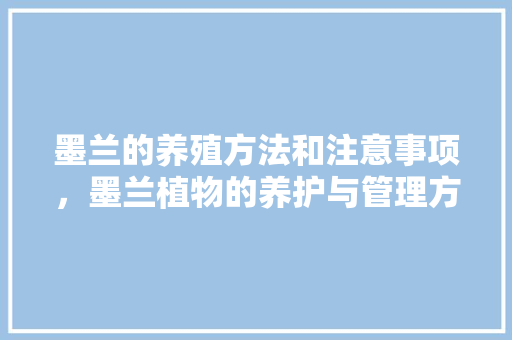 墨兰的养殖方法和注意事项，墨兰植物的养护与管理方法。
