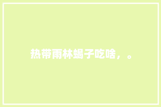 热带雨林蝎子吃啥，。