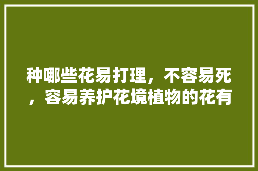 种哪些花易打理，不容易死，容易养护花境植物的花有哪些。  第1张 种哪些花易打理，不容易死，容易养护花境植物的花有哪些。 植物养护