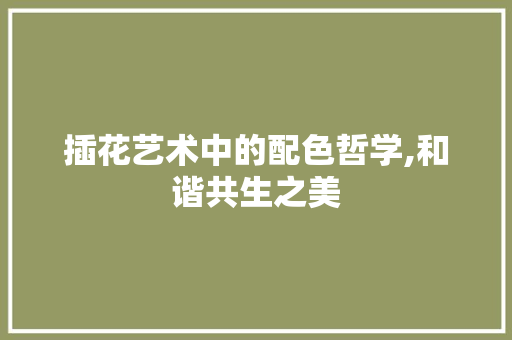 插花艺术中的配色哲学,和谐共生之美