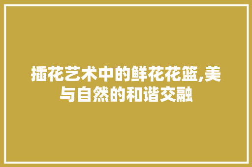 插花艺术中的鲜花花篮,美与自然的和谐交融
