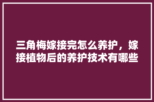 三角梅嫁接完怎么养护，嫁接植物后的养护技术有哪些。