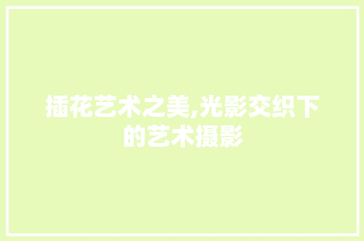 插花艺术之美,光影交织下的艺术摄影 植物栽培