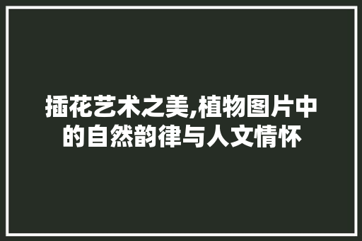 插花艺术之美,植物图片中的自然韵律与人文情怀