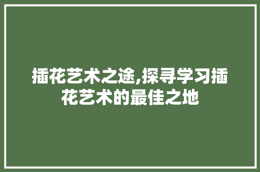 插花艺术之途,探寻学习插花艺术的最佳之地 花卉