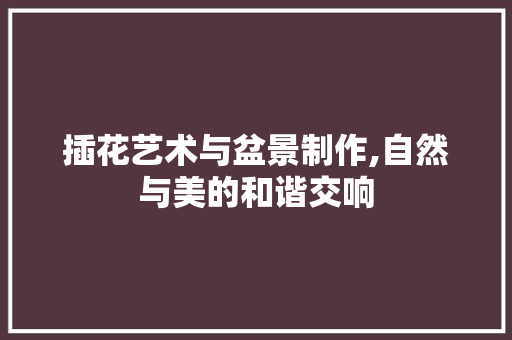 插花艺术与盆景制作,自然与美的和谐交响