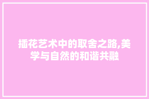 插花艺术中的取舍之路,美学与自然的和谐共融