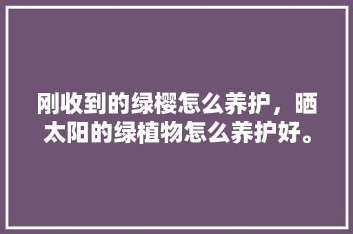 刚收到的绿樱怎么养护，晒太阳的绿植物怎么养护好。  第1张 刚收到的绿樱怎么养护，晒太阳的绿植物怎么养护好。 树木