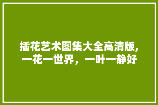 插花艺术图集大全高清版,一花一世界，一叶一静好